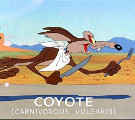 Avatar utilizator